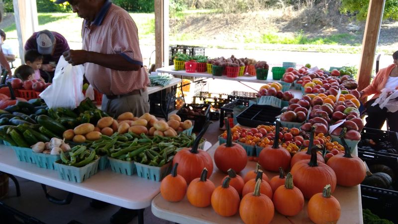 Hub City Farmers Market, Shop Close To The Growers