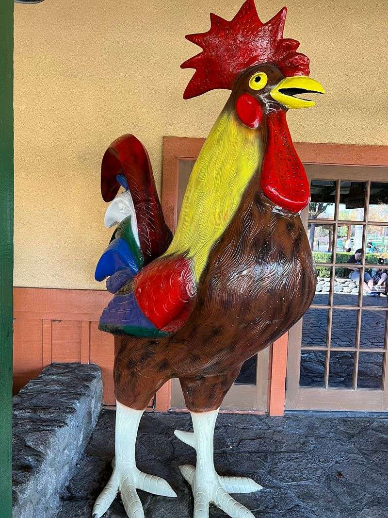 A Rooster-Guarded Classic on Beach Boulevard