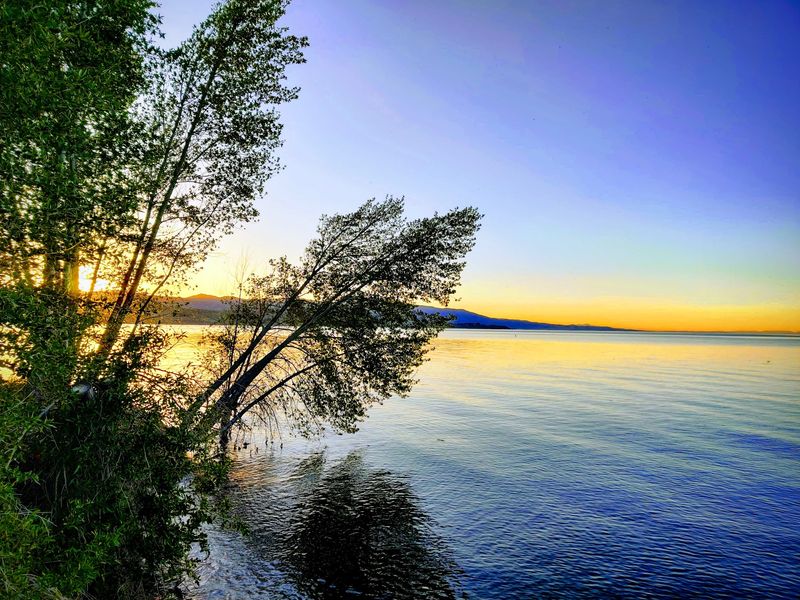 A Bear Lake Meal For Different Travel Styles