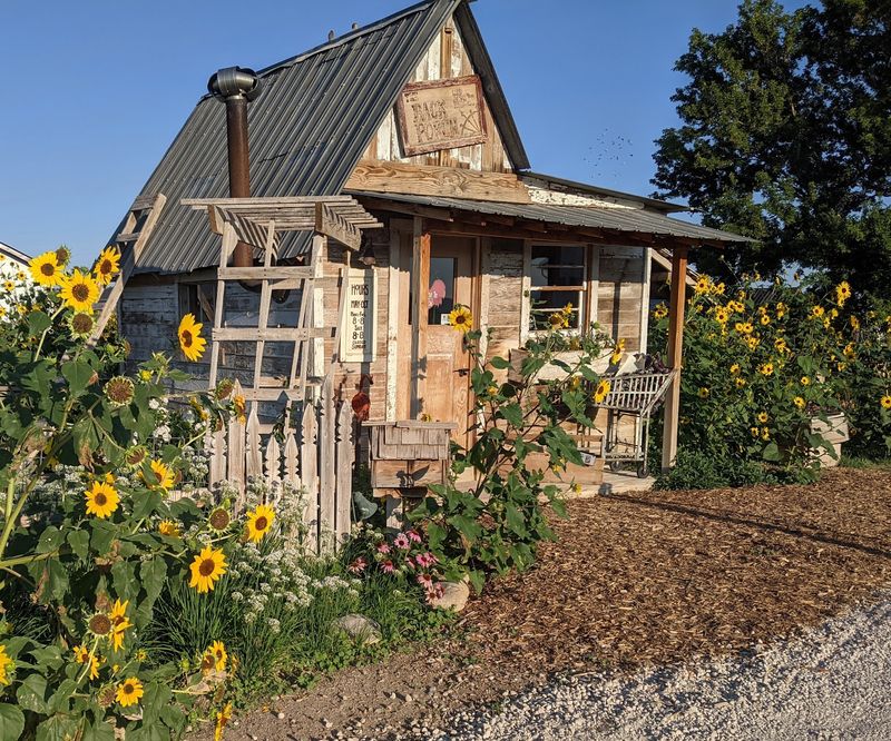 Red Acre Farm CSA