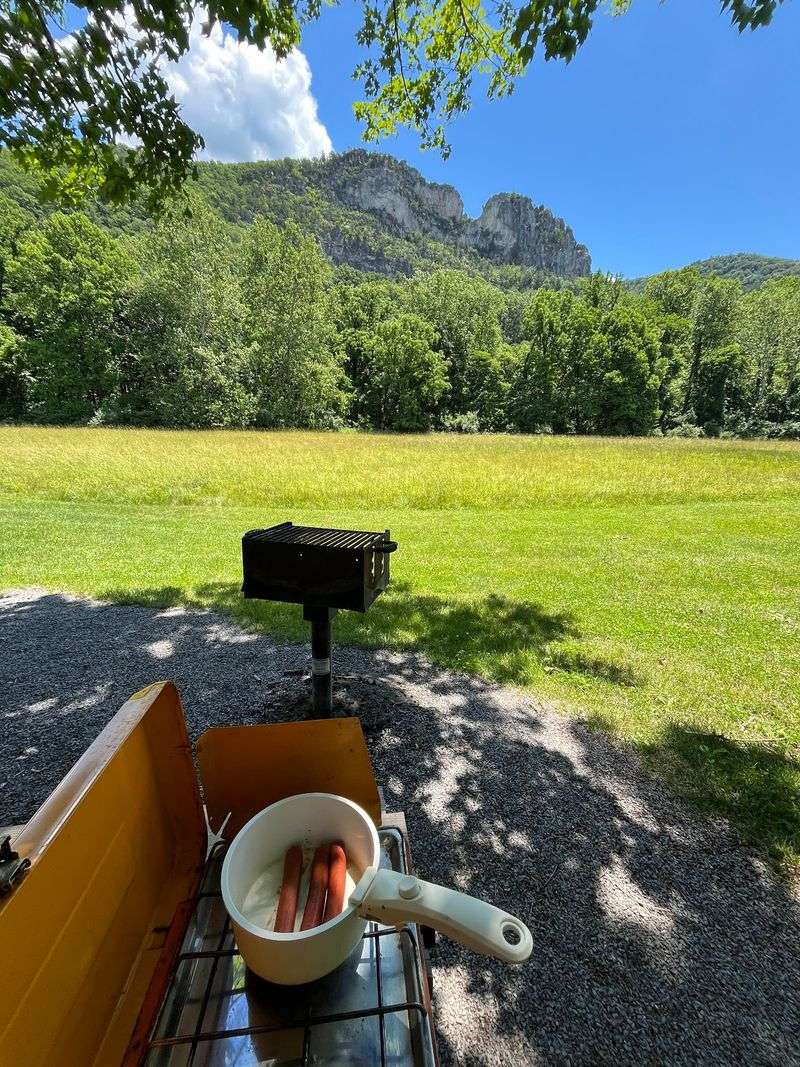 Falcons, Horses, And Picnic Grills Round Out A Full Day