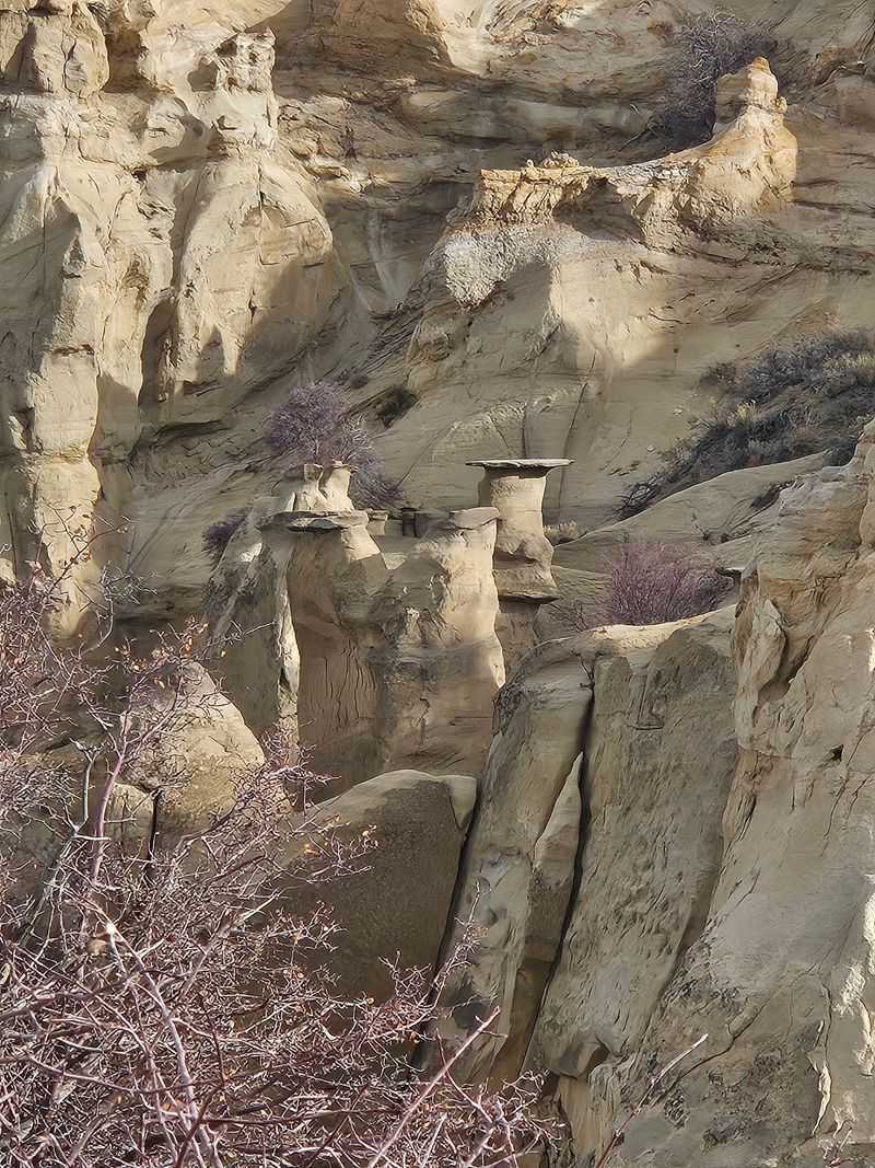 Hoodoos Rise Beyond The Rim
