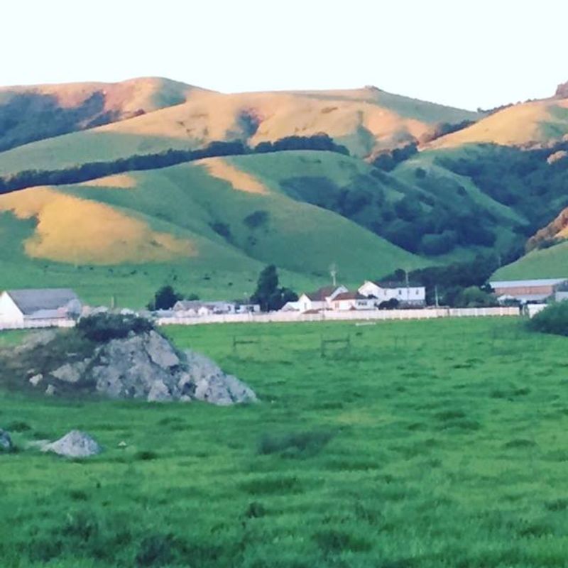Their Own Herd, Their Own Pasture