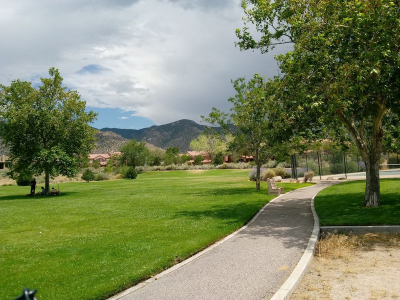 Cottonwood Trails Along The Rio Grande