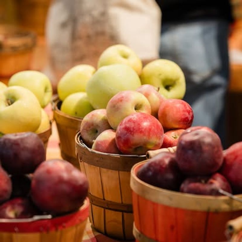 Pyne Farms at Downtown Salt Lake Farmers Market, Salt Lake City