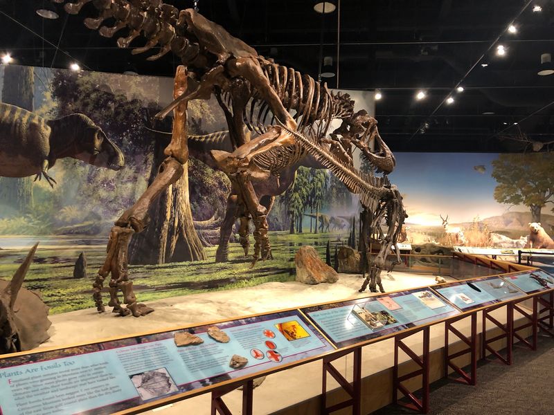 Fort Peck Interpretive Center