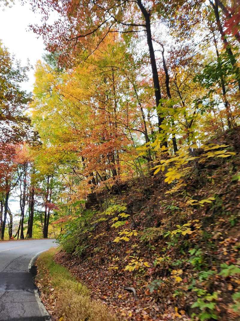 Several State Parks Can Shape The Route
