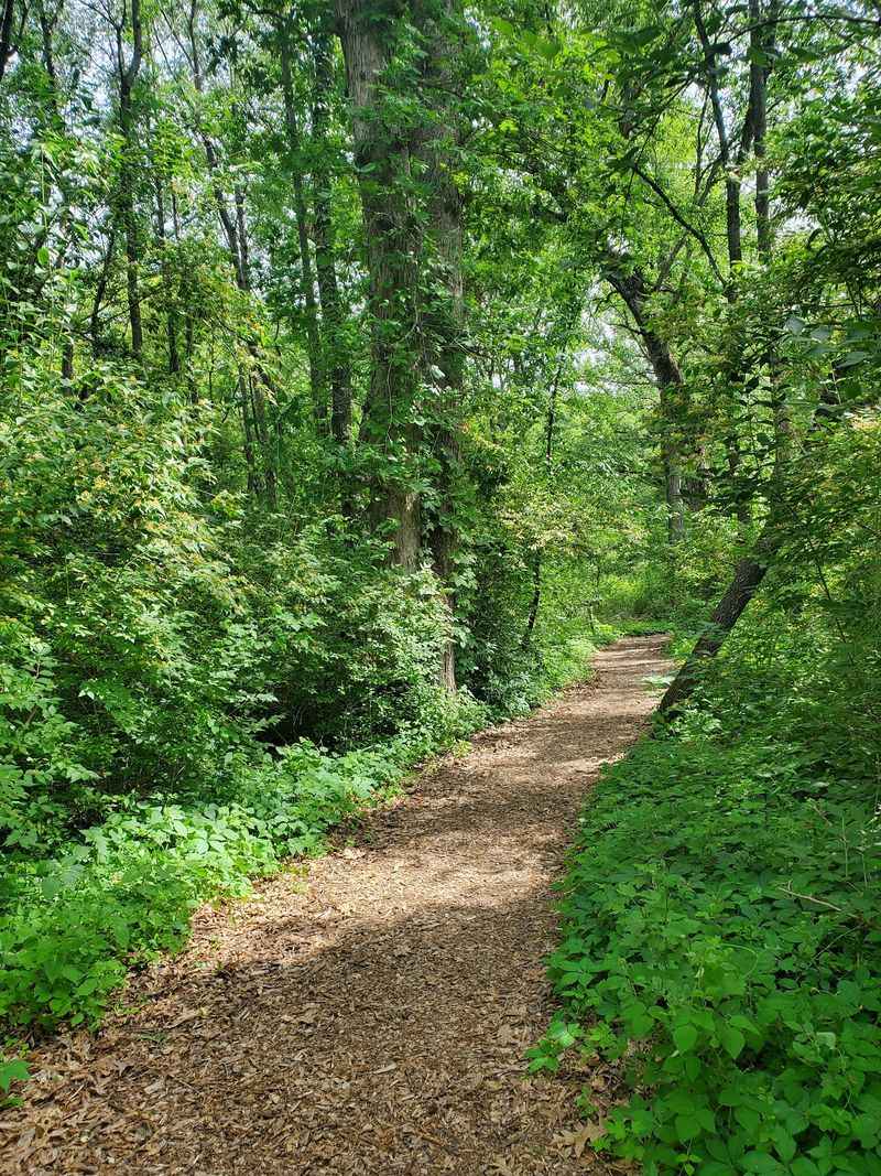 Harvest Preserve, Iowa City