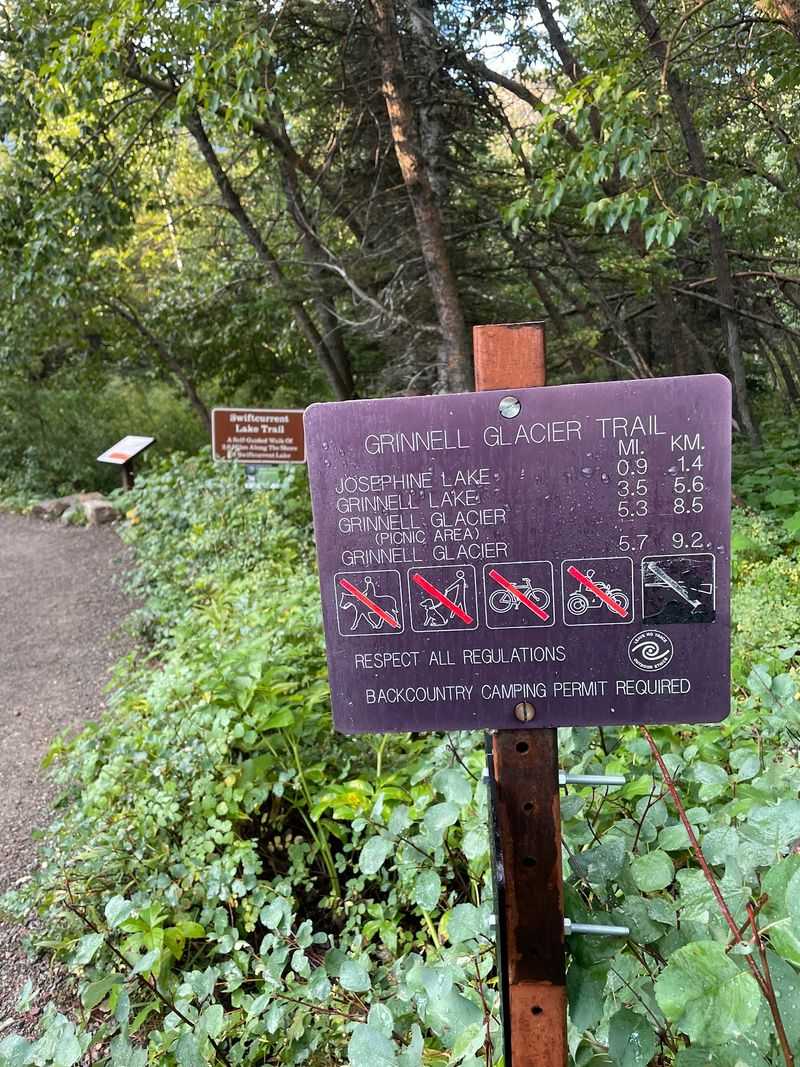 What To Know Before Hiking To Grinnell Glacier