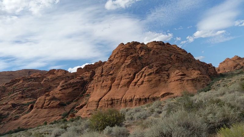 A Snake Encounter Calls For Space, Not A Photo Chase