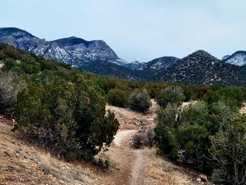 Sandoval County