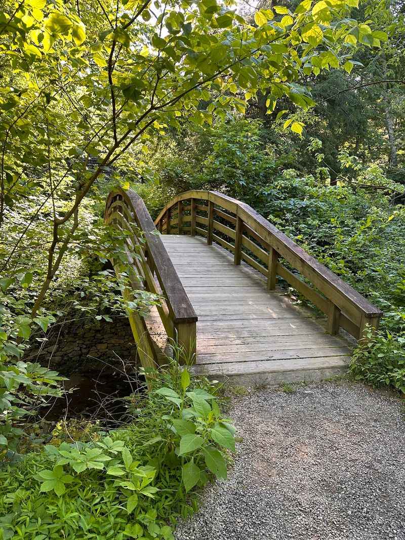 Asheville Botanical Garden