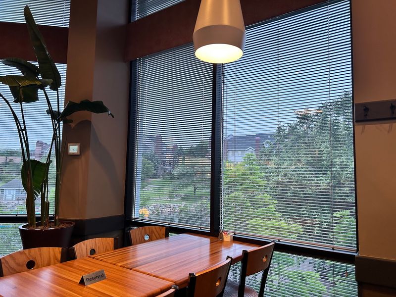 Window Seats Here Come With A Lakeside Park View