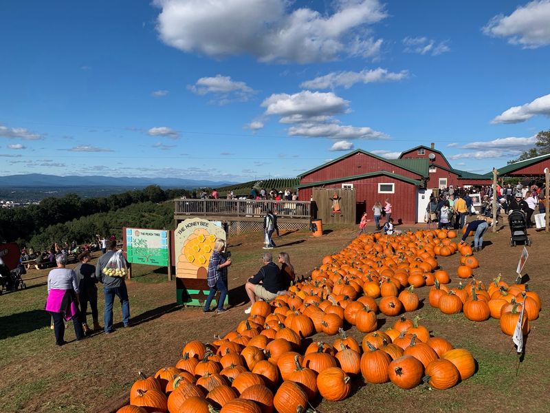 Peak Fall Weekends Need A Little Planning First
