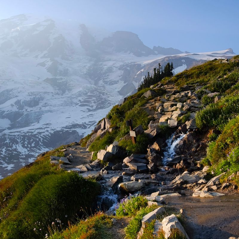 Drive Higher Than Anywhere Else In The Park At Sunrise