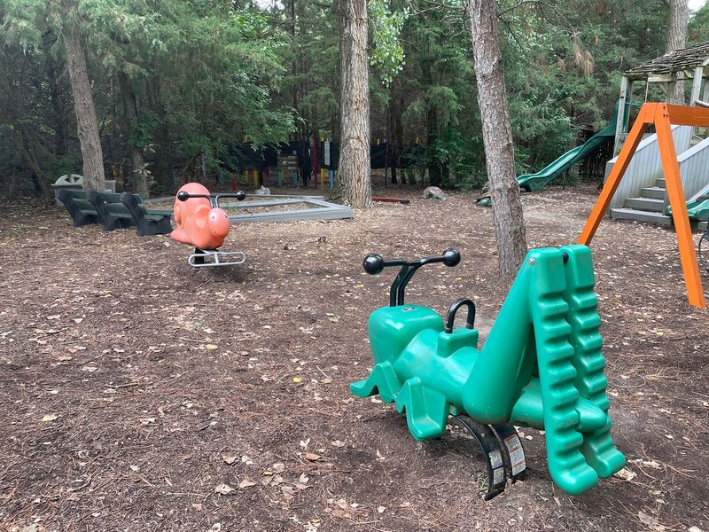 Kids Will Beg To Slide Down A Snake's Belly