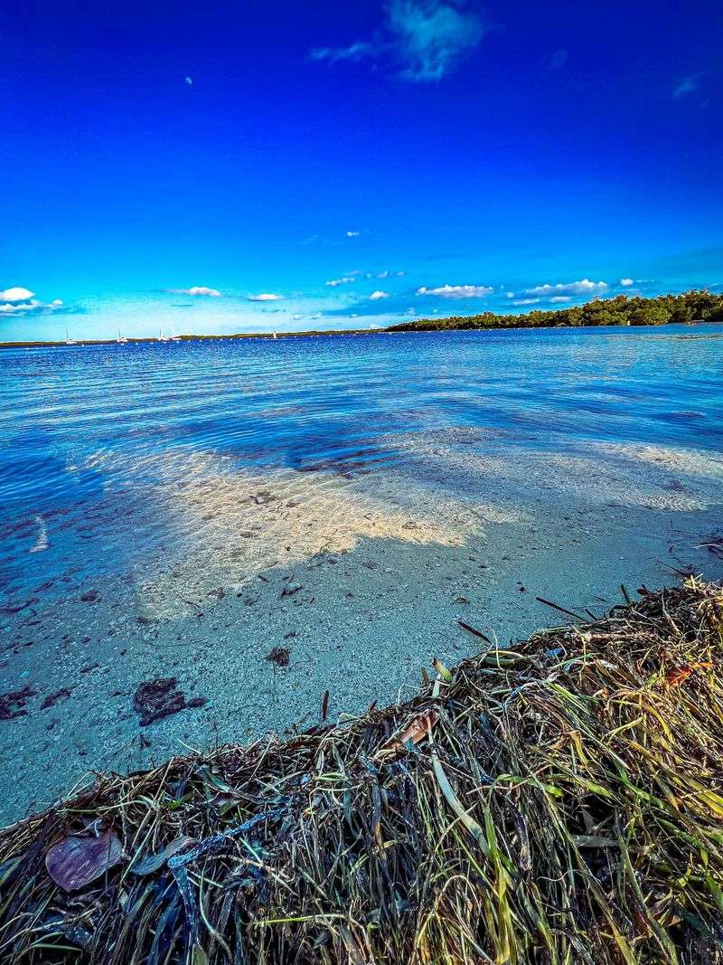 John Pennekamp Coral Reef State Park