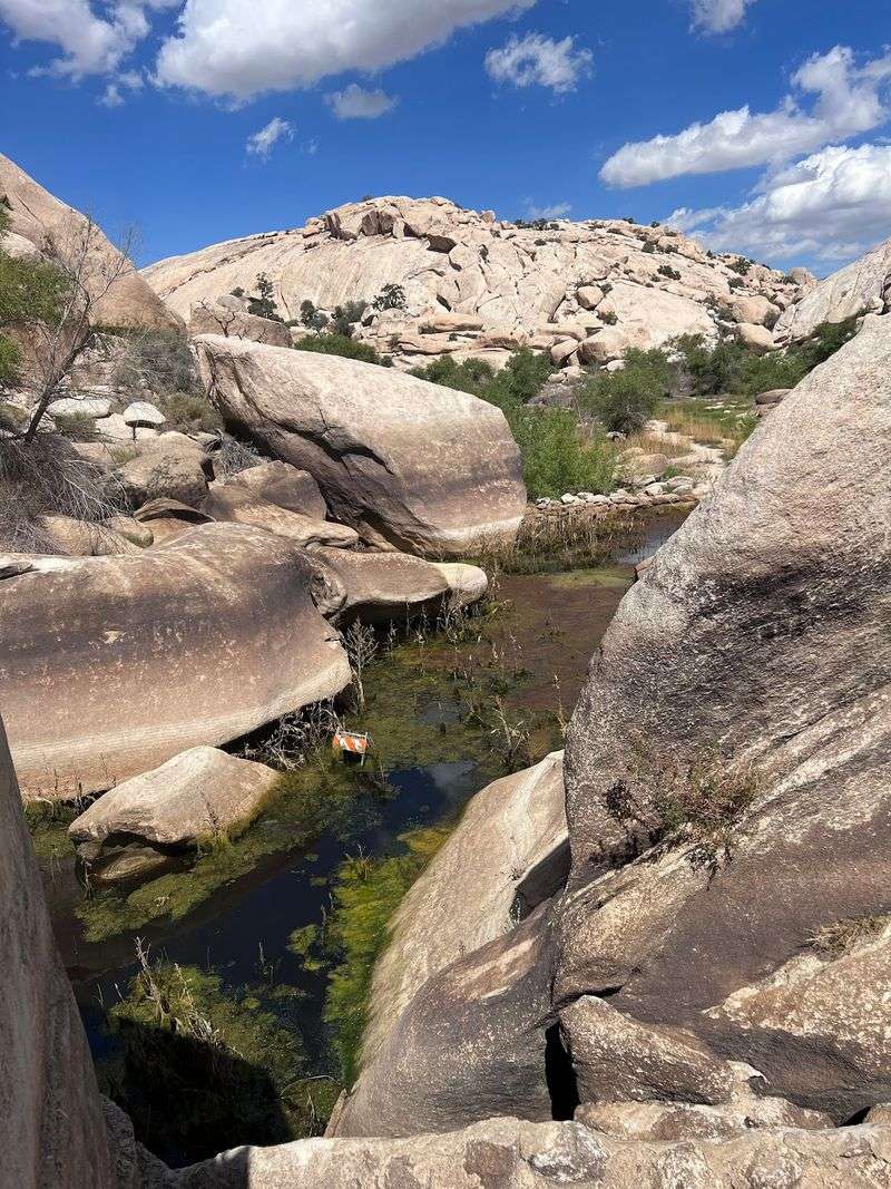 Climbers Treat This Place Like A World-Class Rock Gym