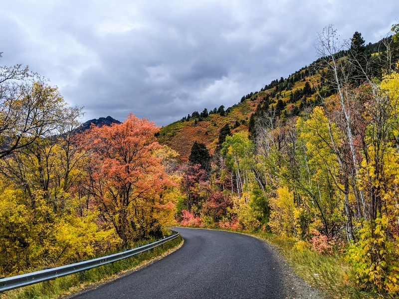 Alpine Loop Scenic Byway