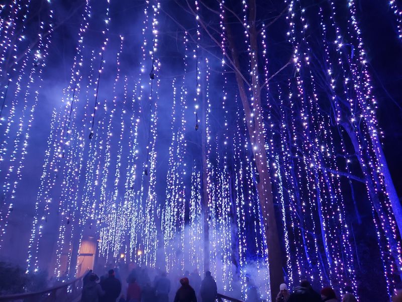 Grab A Seat On The Steam Train For The Best Light Tour In Town