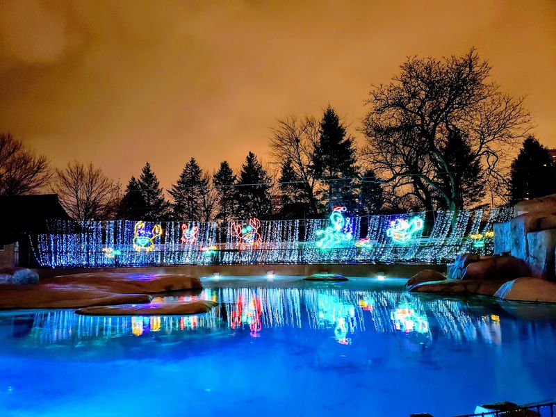 From 100,000 Bulbs To A Full-Blown Chicago Legend