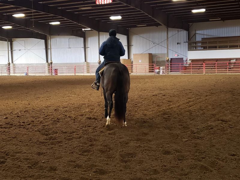 Why This Jackson Arena Deserves A Spot On Your Weekend Plans