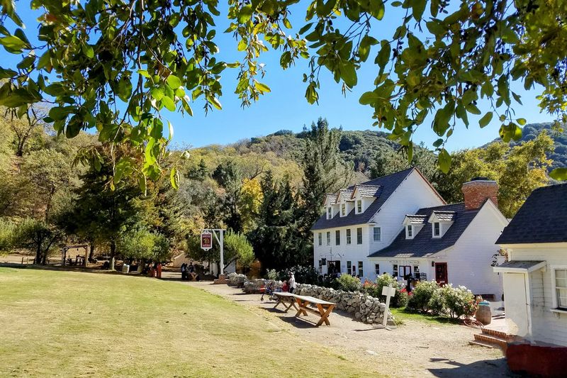 Riley's Farm