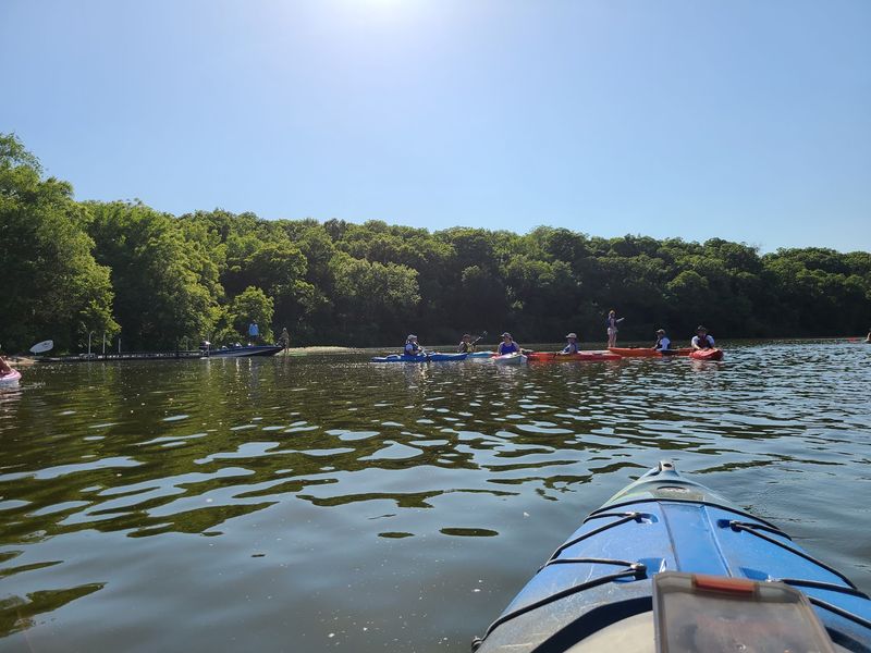 Grab A Paddle And Go Turtle Spotting