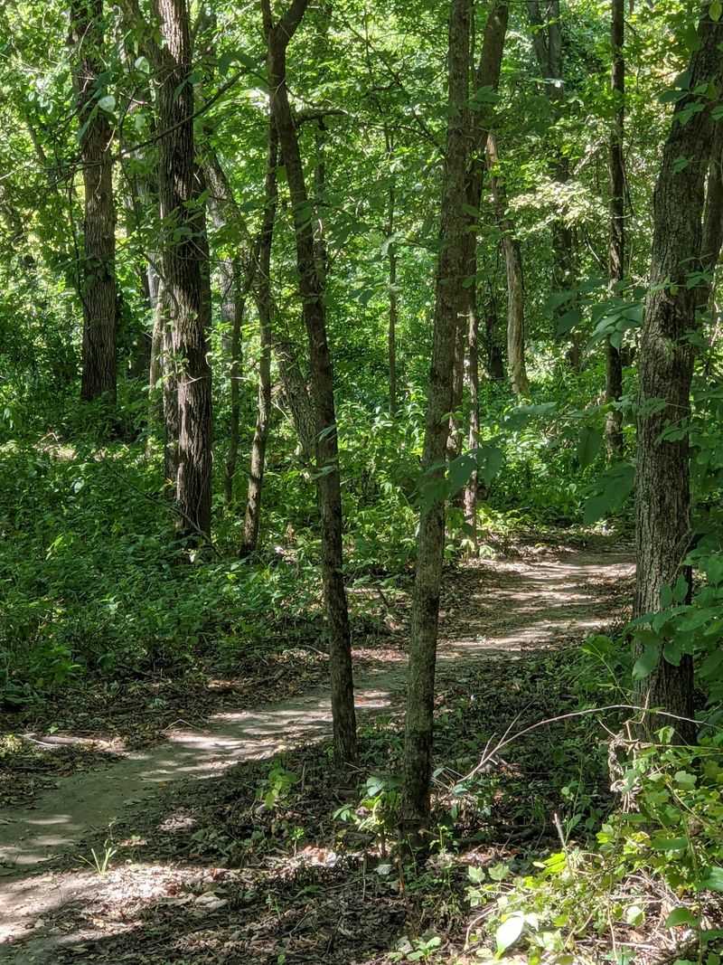 Woodpecker Mountain Bike Trail, Coralville