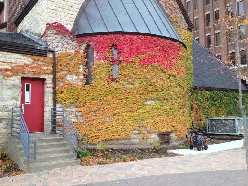 St. Paul’s Makes Pumpkin Shopping Simple