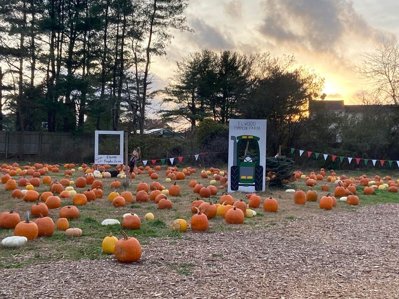 Make Room For NewSong Church Pumpkin Patch