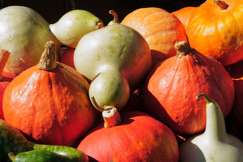Colorful Finds At St. Augustine’s