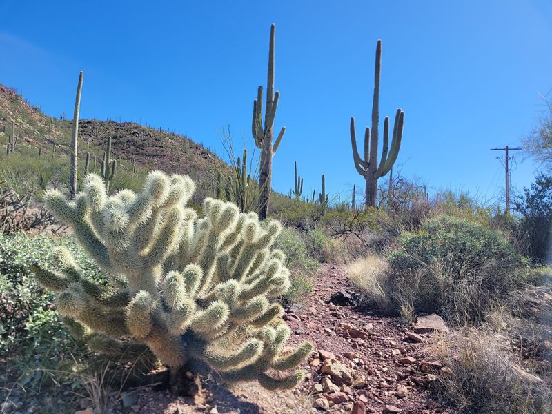 Lace Up For Trails That Fit Every Energy Level