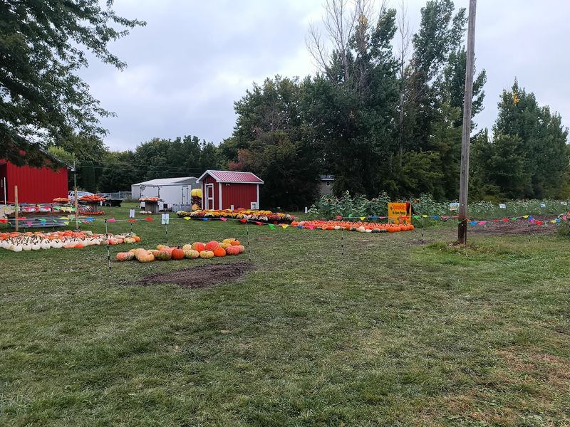 Otter Creek Orchard, Saint Ansgar