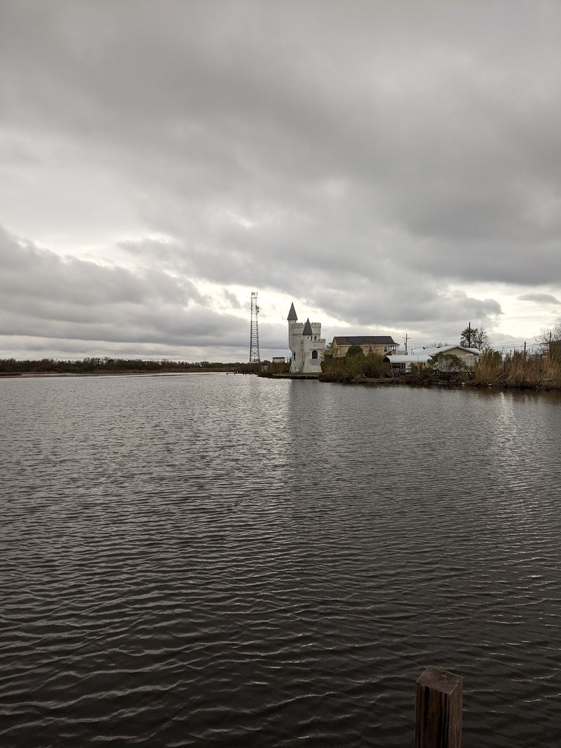 Bayou Quiet Meets Highway Traffic