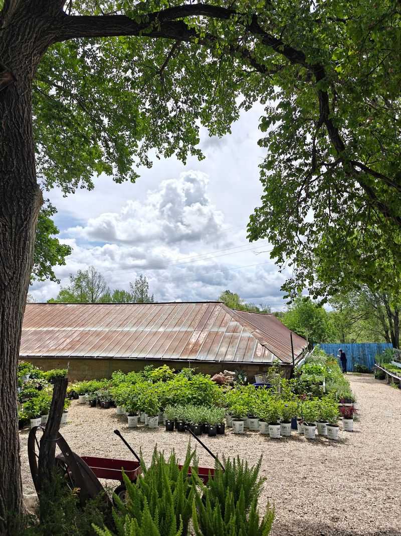 Fall Brings Mums And A Countryside Farm Tour Worth Planning For