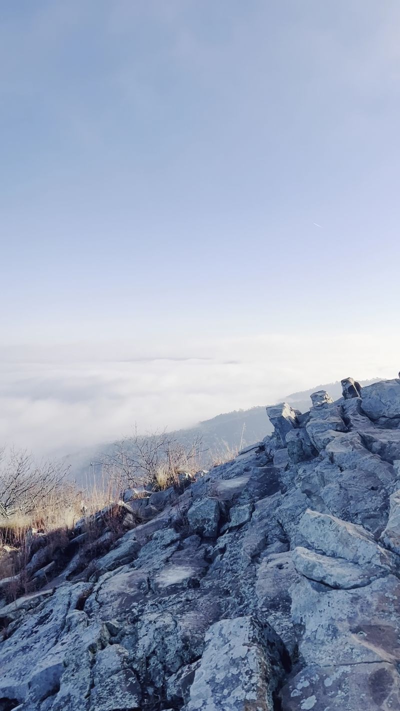 Pinnacle Mountain West Summit Trail