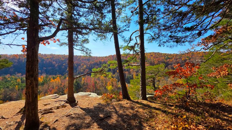Kings River Overlook