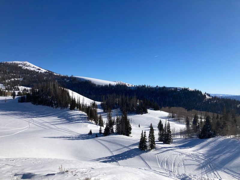 Olympic Ski Trails Sit Right In The Backyard