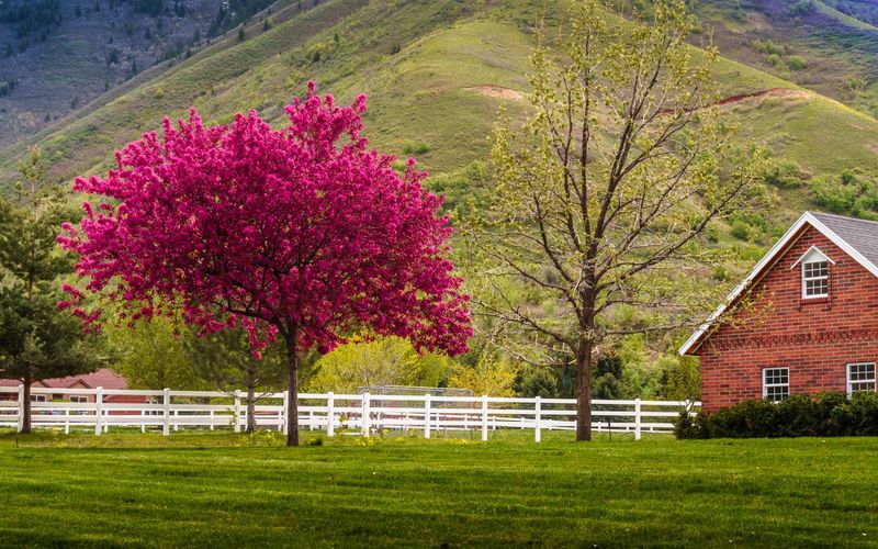 Mapleton, Utah