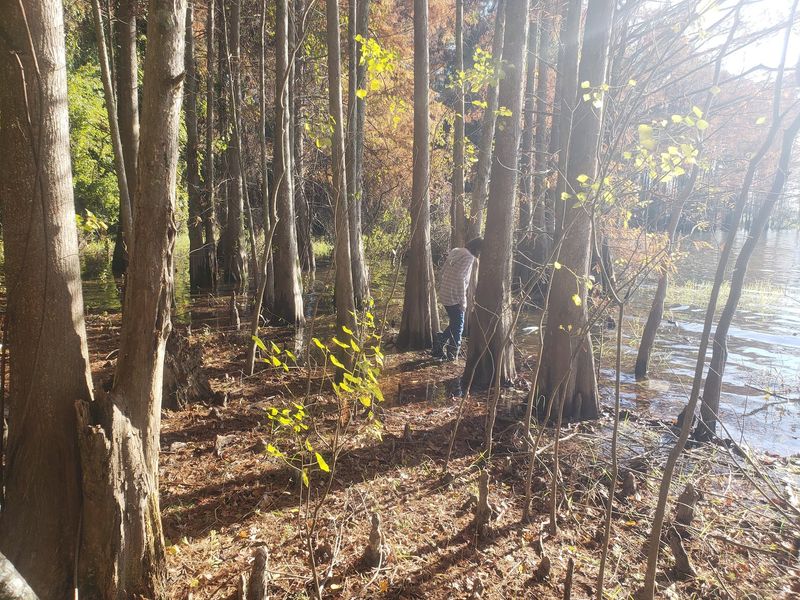 Low Water Is Not An Invitation To Treasure Hunt