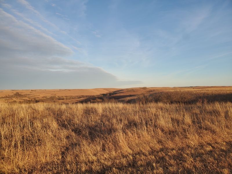 Konza Prairie Nature Trail, Manhattan, Kansas