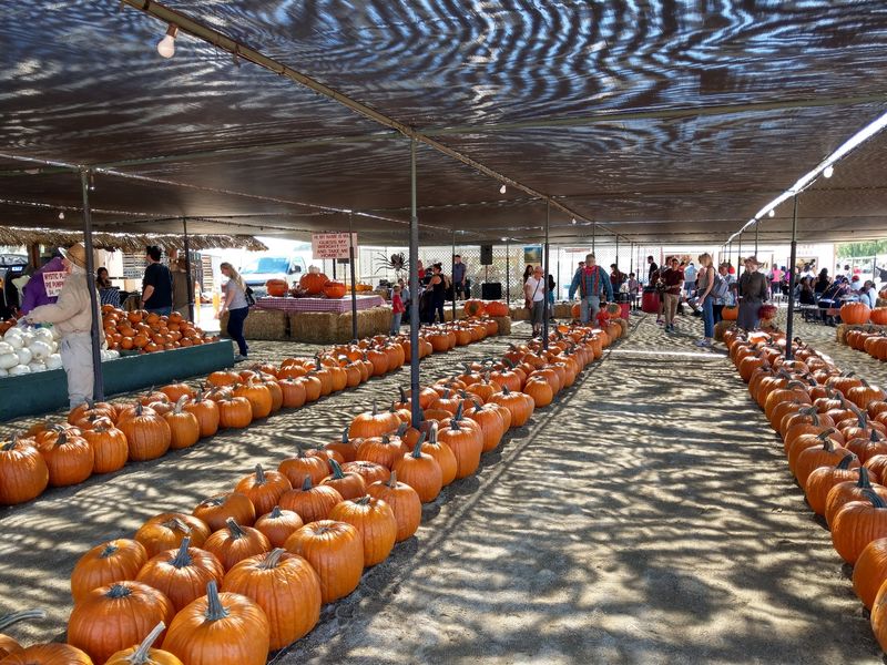 Forneris Farms, Mission Hills, CA