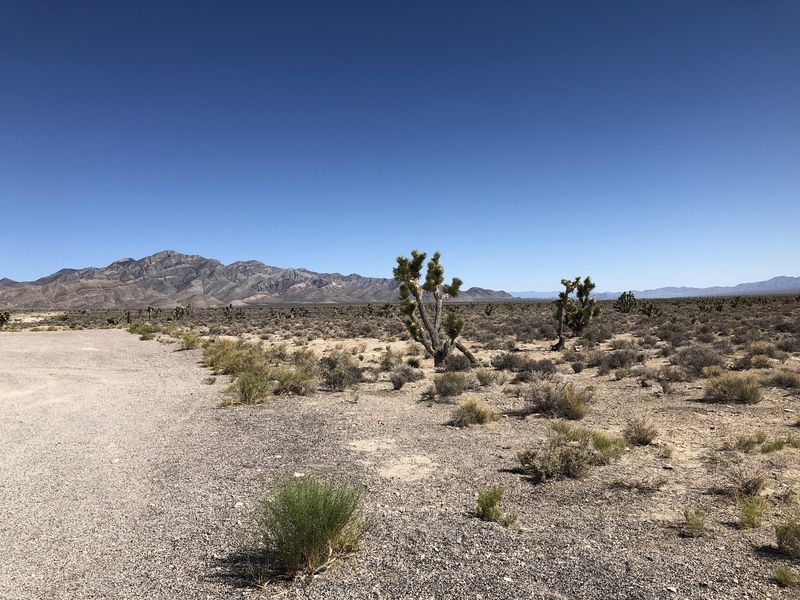 Ninety-Eight Miles Can Feel Much Longer Out Here