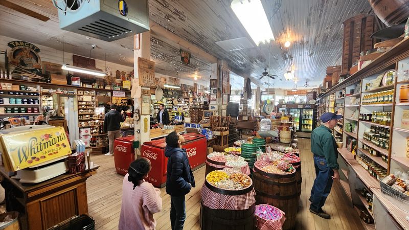 Nostalgic Charm for Families, Pets, and Longtime Fans
