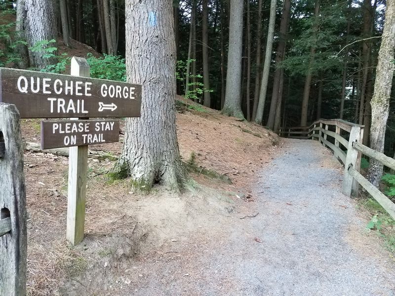 The Gorge Trail Changes The View Completely