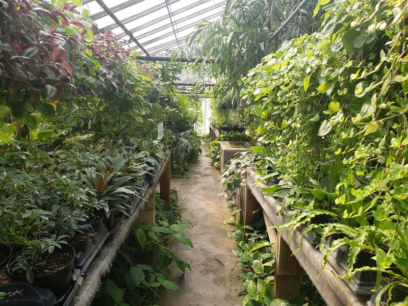 You'll Feel Like You Stumbled Into A Tropical Jungle