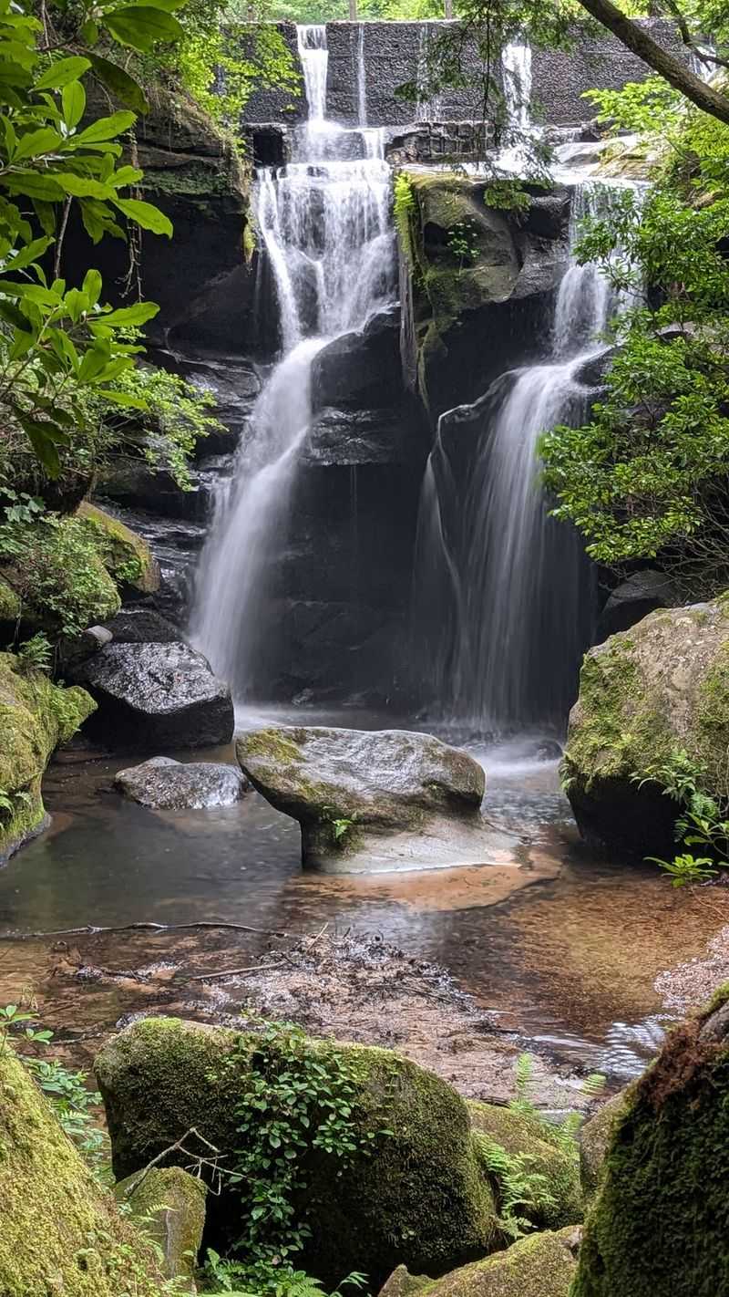 Rainbow Falls Marks The Entrance Of Dismals Branch