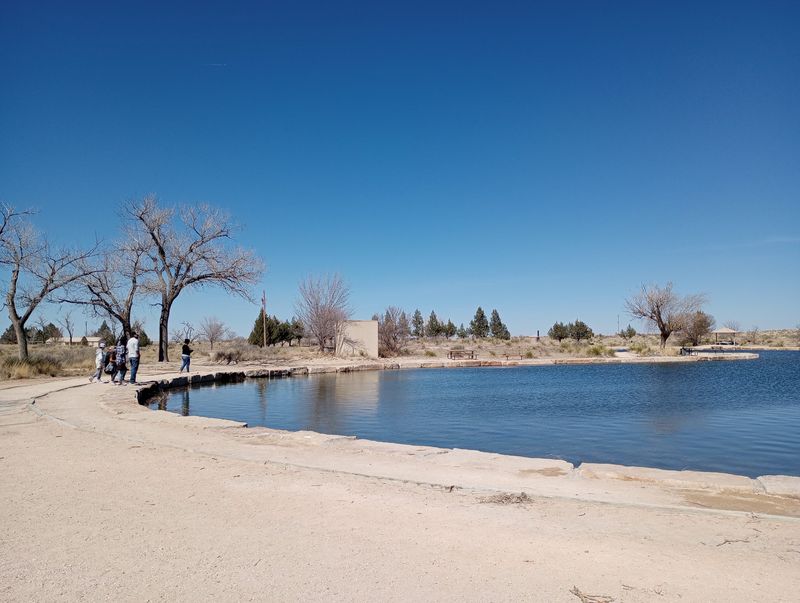 Your Fishing Line Has A Real Shot At Trout Here
