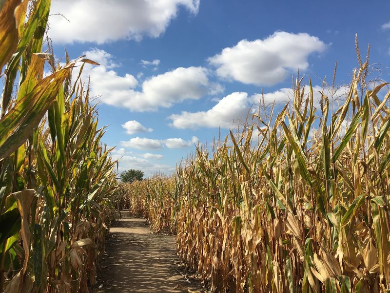 More Than Ten Miles Of Paths Leave Room To Explore